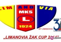 Turniej piłkarski „LIMANOVIA ŻAK CUP 2014” - zdjęcie główne