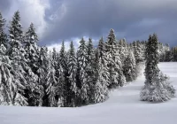 Park narodowy odradza wyjścia w Gorce - zdjęcie główne