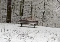 ​Reagujmy na osoby zagrożone wychłodzeniem - zdjęcie główne