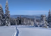 ​Zimowe ABC turysty i narciarza w parku - zdjęcie główne