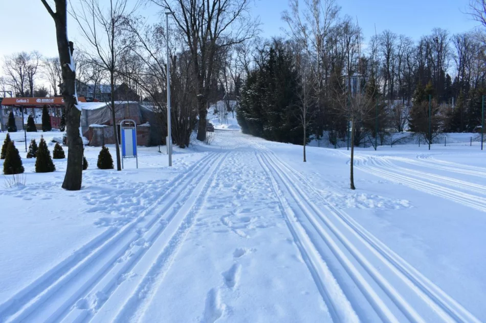 ​Trasy narciarskie w centrum miejscowości - zdjęcie 6