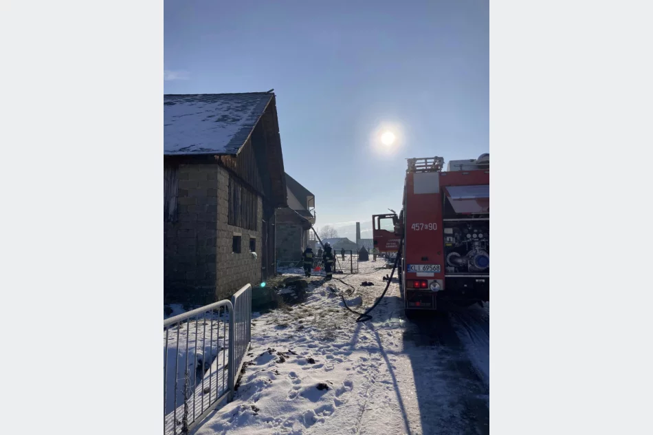 Pożar zabudowań gospodarczych - zdjęcie 3