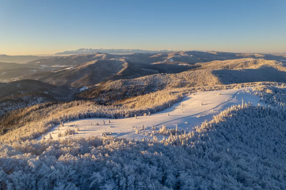 Piękny poranek na Mogielicy - 9 II 2023 r. - zdjęcie 10