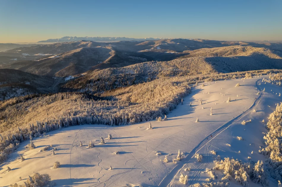 Piękny poranek na Mogielicy - 9 II 2023 r. - zdjęcie 11