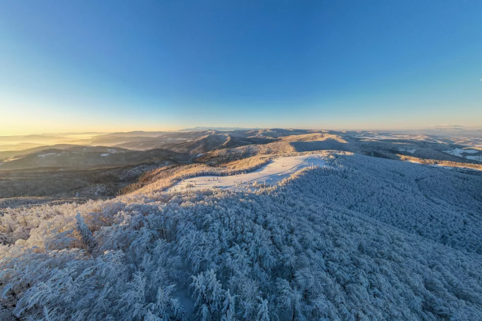 Piękny poranek na Mogielicy - 9 II 2023 r. - zdjęcie 12