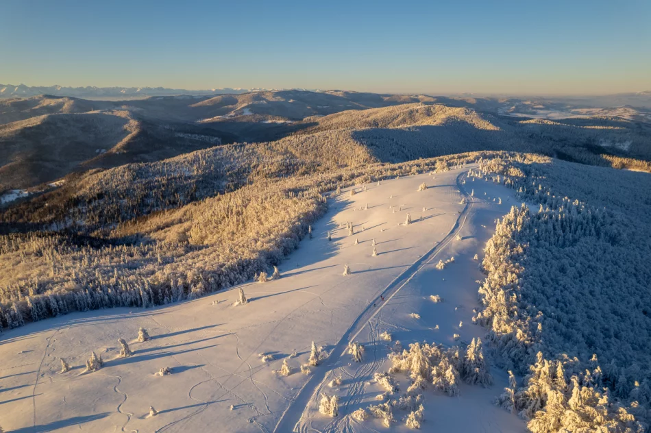 Piękny poranek na Mogielicy - 9 II 2023 r. - zdjęcie 13