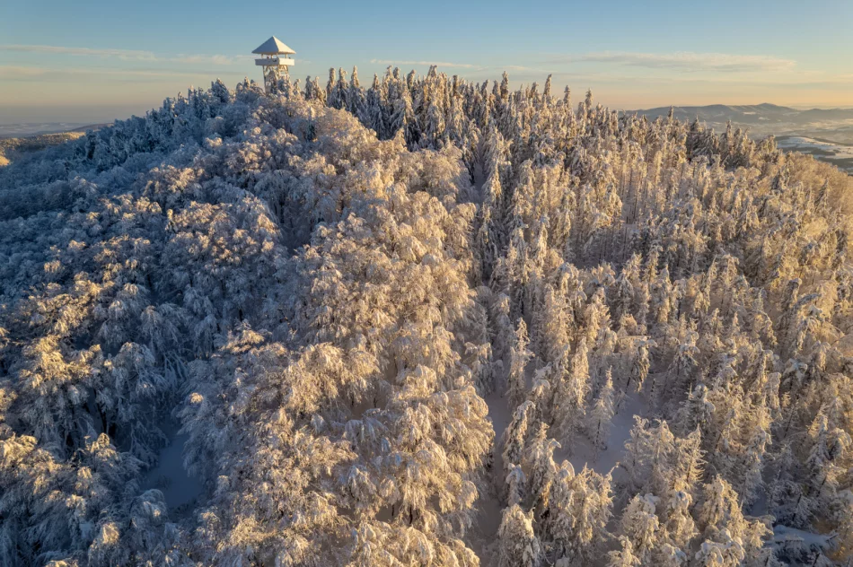 Piękny poranek na Mogielicy - 9 II 2023 r. - zdjęcie 14