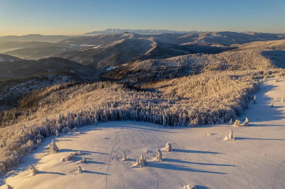 Piękny poranek na Mogielicy - 9 II 2023 r. - zdjęcie 16