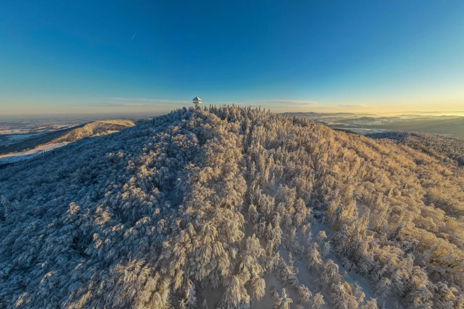 Piękny poranek na Mogielicy - 9 II 2023 r. - zdjęcie 17