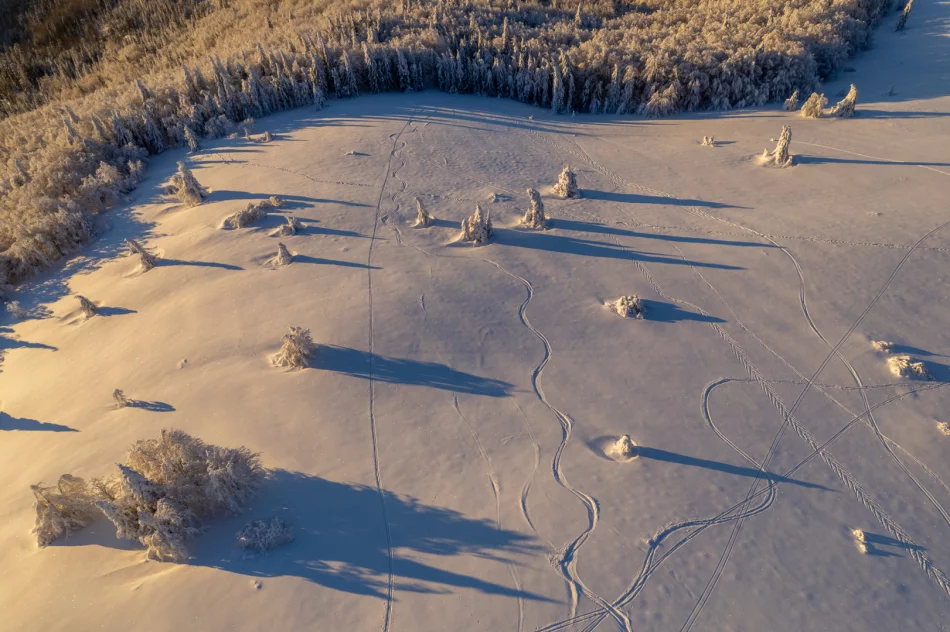 Piękny poranek na Mogielicy - 9 II 2023 r. - zdjęcie 18