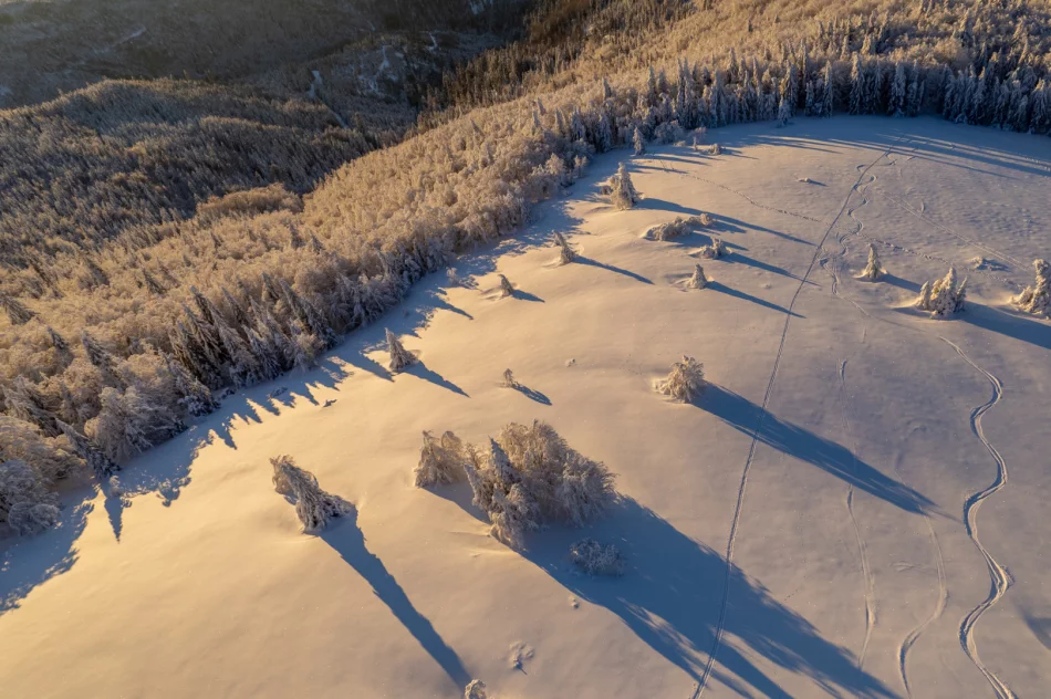Piękny poranek na Mogielicy - 9 II 2023 r. - zdjęcie 19