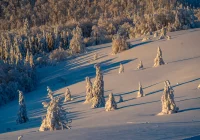 Zbliża się odwilż, ale w górach śnieg się utrzyma do końca ferii - zdjęcie główne
