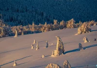 Turyści czasem nie rozumieją, na czym polega pomoc i warunki, w jakich muszą pracować górscy ratownicy - zdjęcie główne