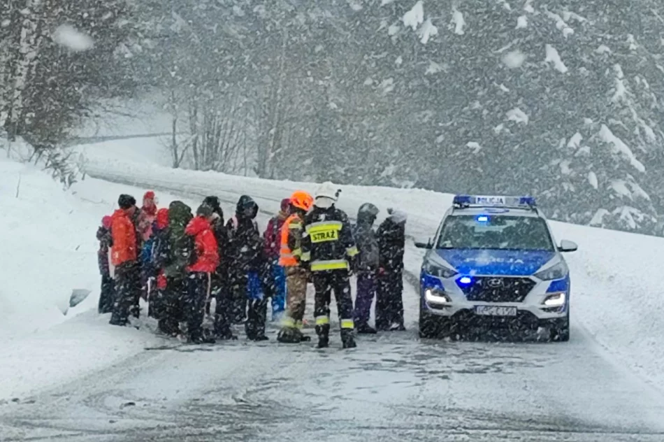 Kierowcy nie przebadano i pozwolono mu zabrać pasażerów - zdjęcie 5