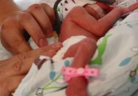 W Szpitalu Uniwersyteckim w Krakowie urodziły się pięcioraczki - zdjęcie główne