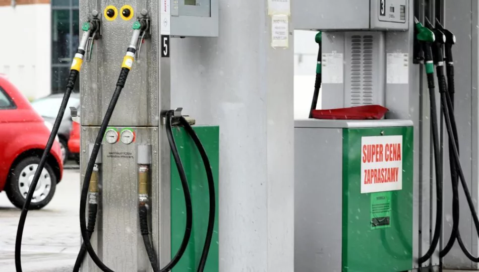 e-petrol.pl: tankowanie ON jest wyraźnie tańsze niż na początku miesiąca - zdjęcie 1