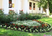 Utrzymanie porządku i zieleni w mieście - zdjęcie główne