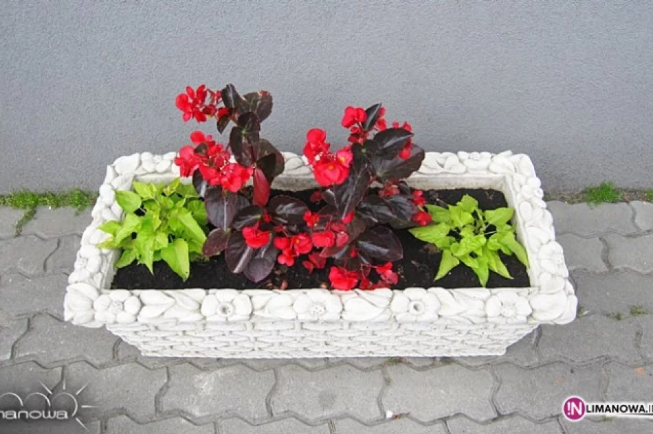 Utrzymanie porządku i zieleni w mieście - zdjęcie 2