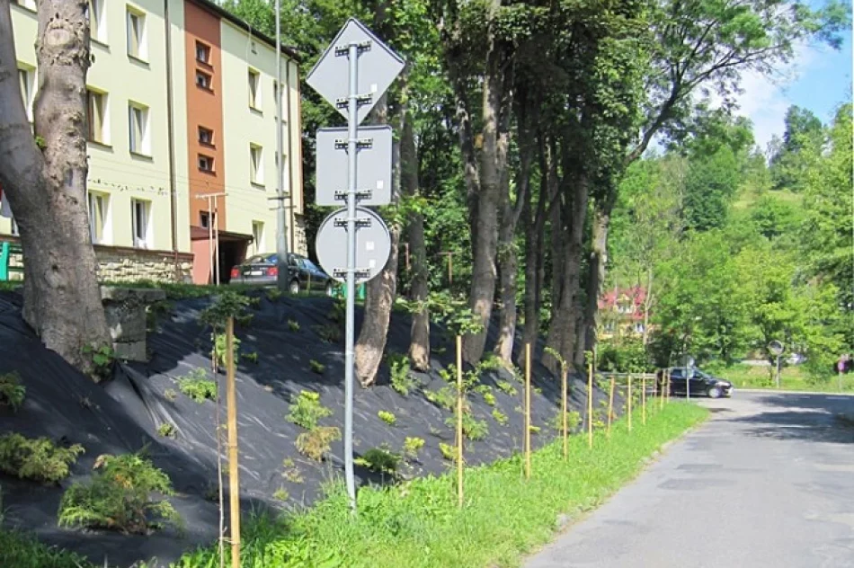 Utrzymanie porządku i zieleni w mieście - zdjęcie 4