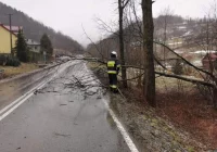 PSP: spodziewamy się dużo pracy i dużo zniszczeń w związku z zapowiadanym silnym wiatrem - zdjęcie główne