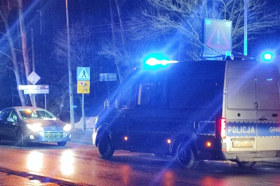 Kobieta potrącona w rejonie przejścia - zdjęcie 3