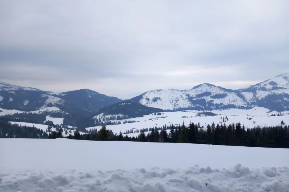 ​Uczestniczyli w “Chlebnickim Okruchu” - zdjęcie 3