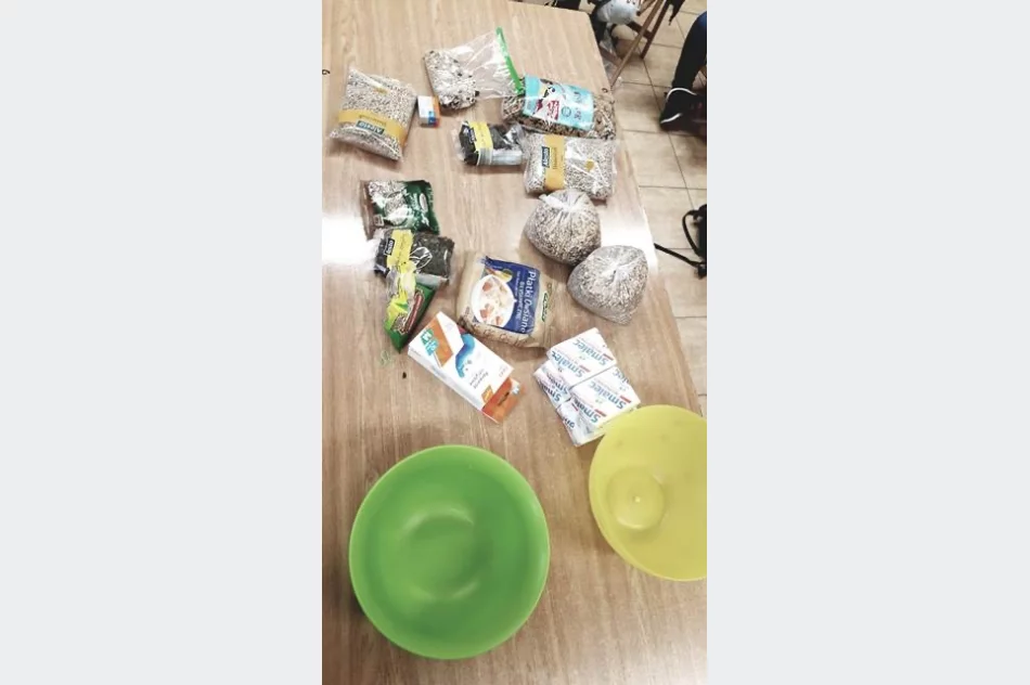 ​„Leśna zbiórka zuchowa” - zdjęcie 2