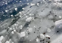 Małopolska: Rośnie poziom wód; rzeki przekroczyły stan ostrzegawczy w 10 miejscach - zdjęcie główne