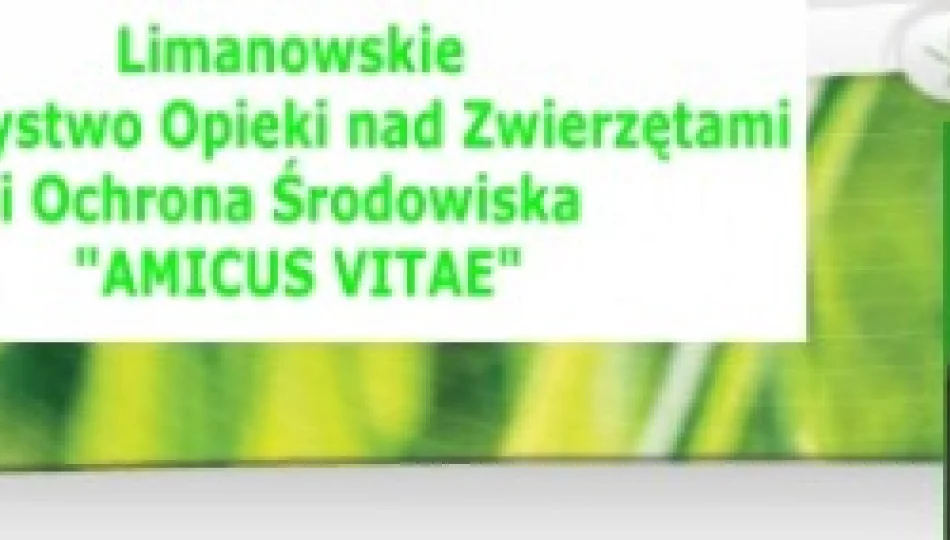 Zostań członkiem Stowarzyszenia AMICUS VITAE - zdjęcie 1