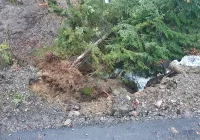 ​Osunęła się ziemia, zagrożona niedawno remontowana droga - zdjęcie główne