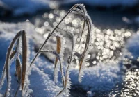 IMGW ostrzega przed oblodzeniami - zdjęcie główne