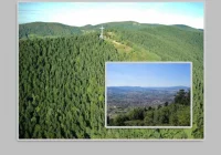 Miasto przystąpiło do „zagospodarowania Miejskiej Góry” - zdjęcie główne