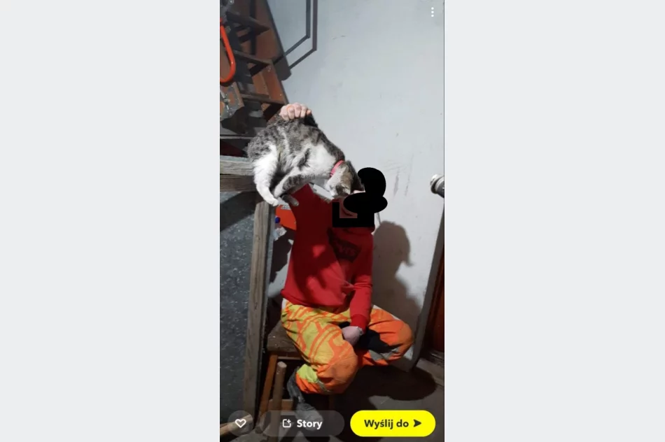 Życzenia dowodem znęcania - zdjęcie 4