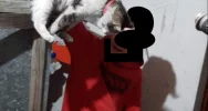 Życzenia dowodem znęcania - zdjęcie 4