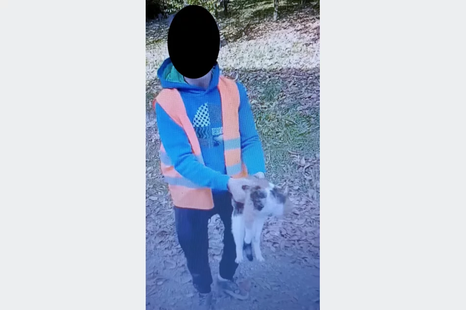 Życzenia dowodem znęcania - zdjęcie 5