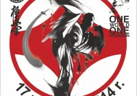 One World One Kyokushin – Limanowa 2014 - zdjęcie główne