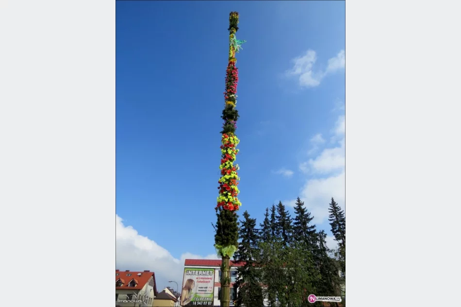 Palma Wielkanocna na limanowskim rynku - zdjęcie 2