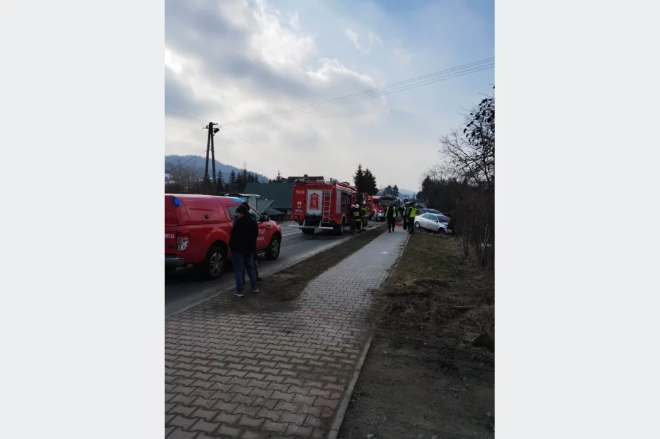 ​Wyprzedzał ciąg pojazdów w miejscu niedozwolonym - zdjęcie 3