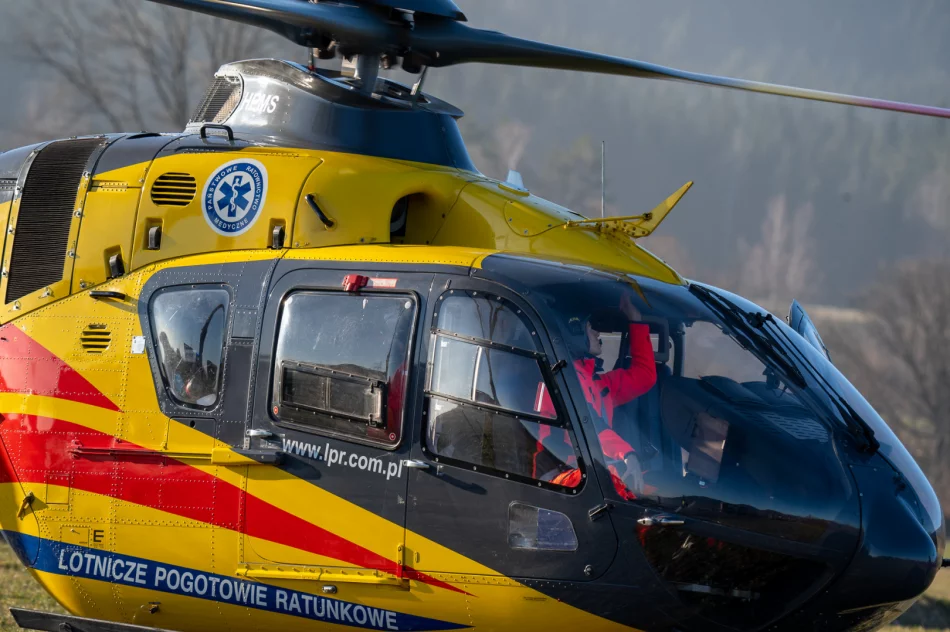 Czołowe zderzenie, jedna osoba ranna  - zdjęcie 19