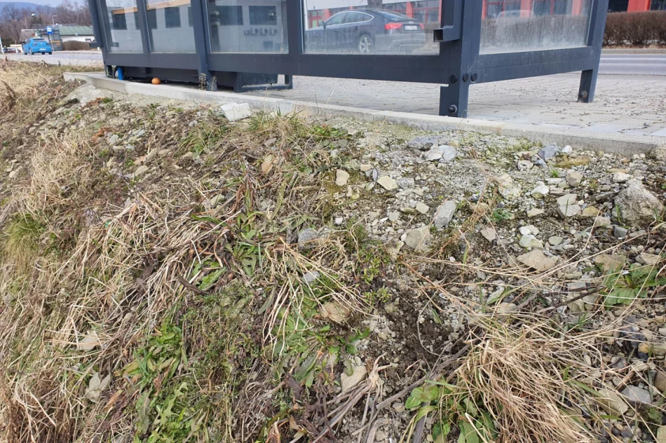 Nowy przystanek samowolą? "Teren prywatny" - zdjęcie 9