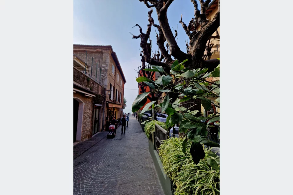 Włochy ze szczyptą Monako i festiwalem owoców cytrusowych w Menton - zdjęcie 8