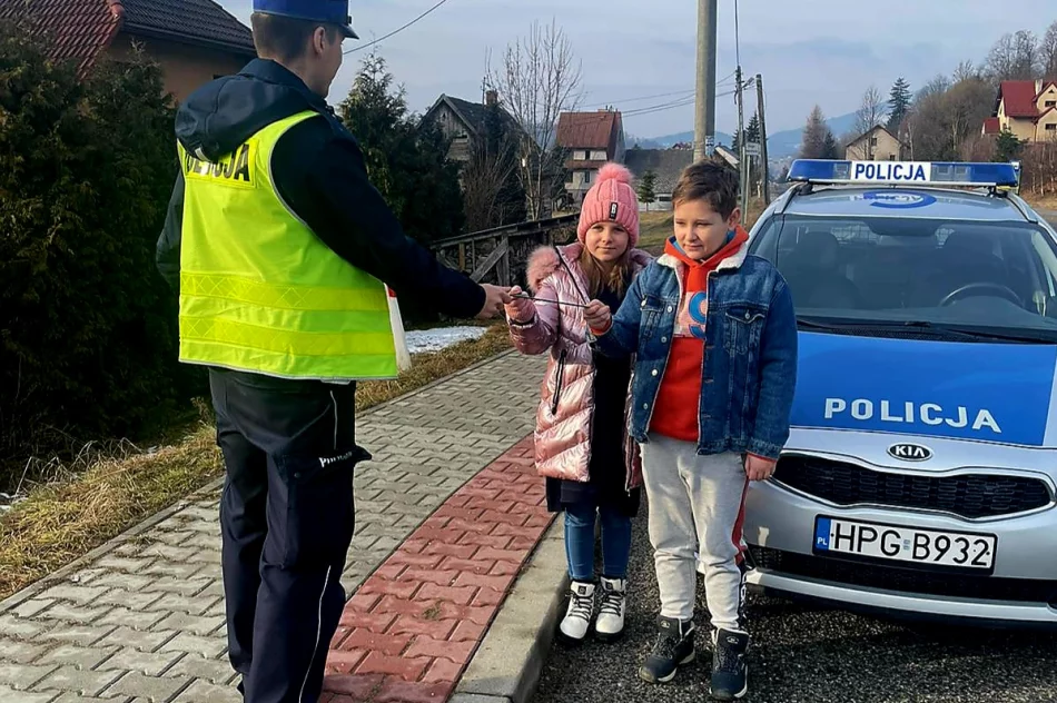 "​Pieszy w zetknięciu z rozpędzonym pojazdem jest bez szans" - zdjęcie 2