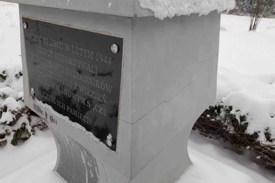 Efekt renowacji - pomnik owinięty… folią - zdjęcie 2