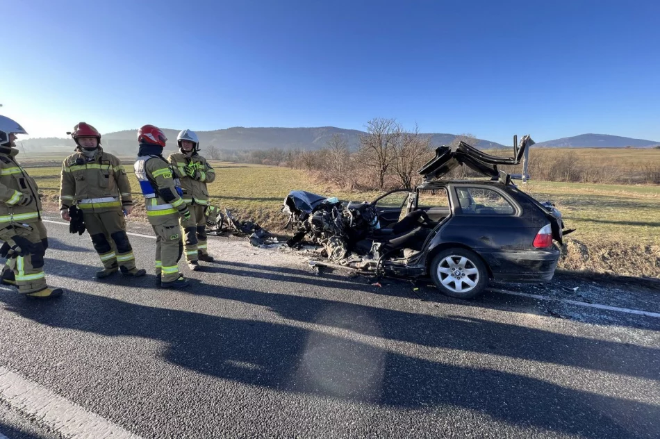 Leśnik pomógł ratować rannych - zdjęcie 8