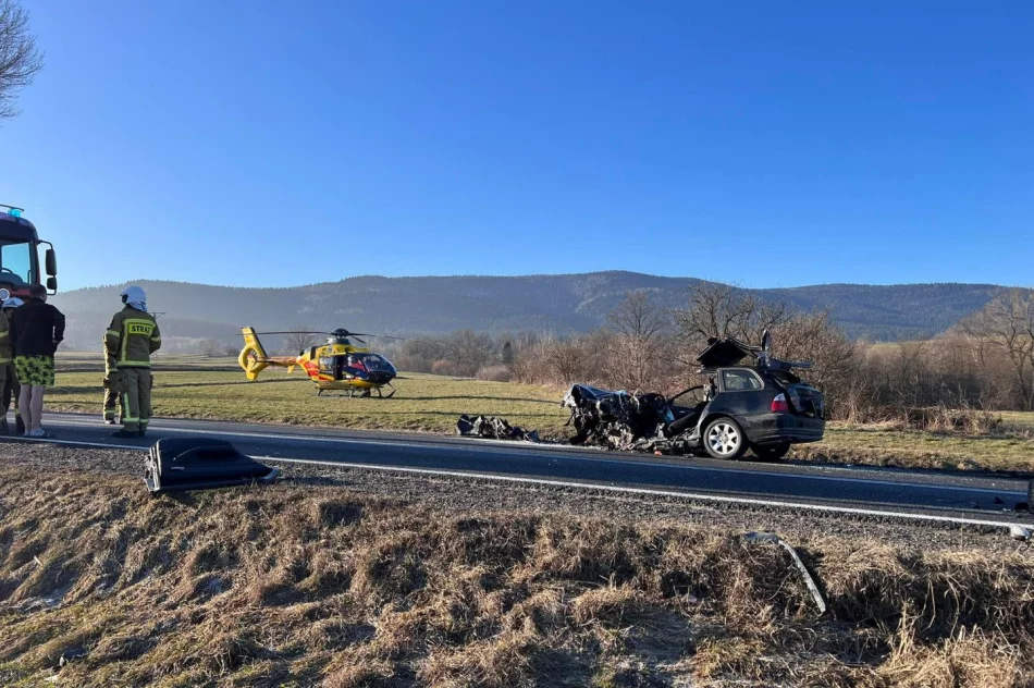 Leśnik pomógł ratować rannych - zdjęcie 14