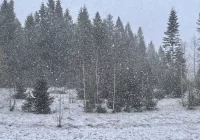 Wiatr nawet do 110 km/h. W górach śnieg. Możliwe oblodzenia - zdjęcie główne