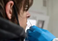 535 zakażeń koronawirusem, nikt nie zmarł z powodu COVID-19 - zdjęcie główne