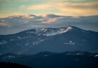 Małopolska: Huraganowy wiatr powala drzewa; w nocy 50 interwencji - zdjęcie główne