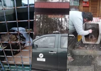 Orzeł przedni przeszedł zabieg i wraca do zdrowia - zdjęcie główne