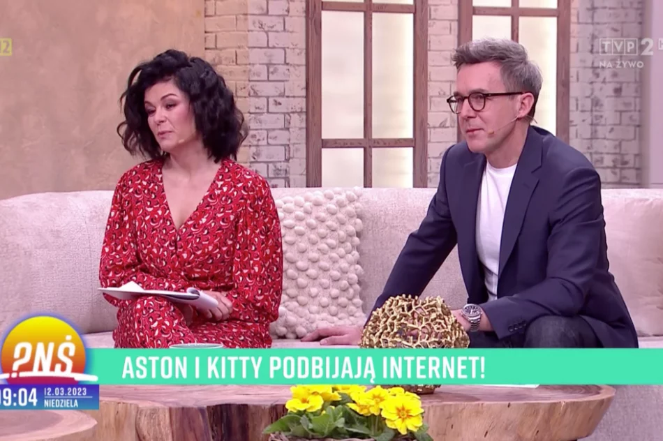 Urocze samojedy podbijają TikToka - zdjęcie 6